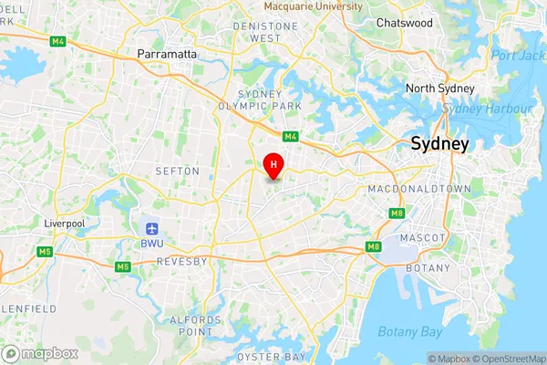 Strathfield South,New South Wales Area Map