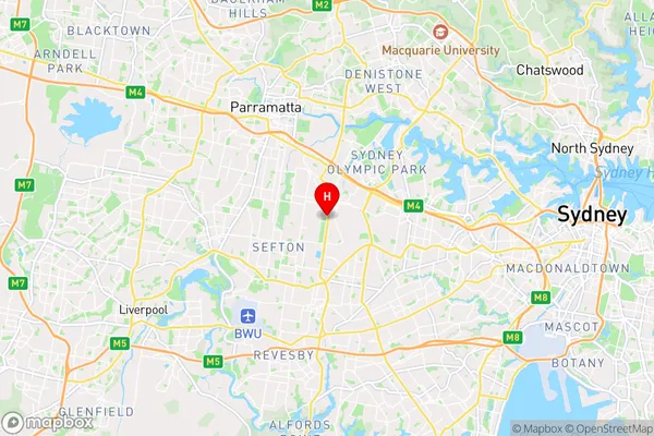 Lidcombe,New South Wales Area Map