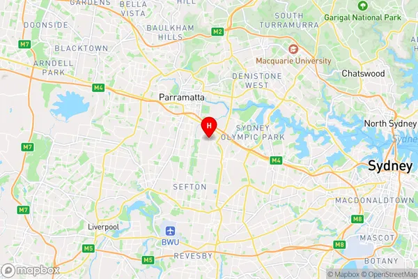 Auburn,New South Wales Area Map