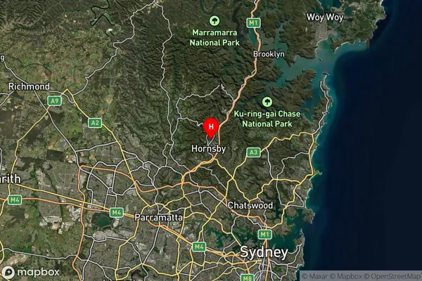 Asquith,New South Wales Satellite Map