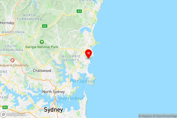 Curl Curl,New South Wales Area Map