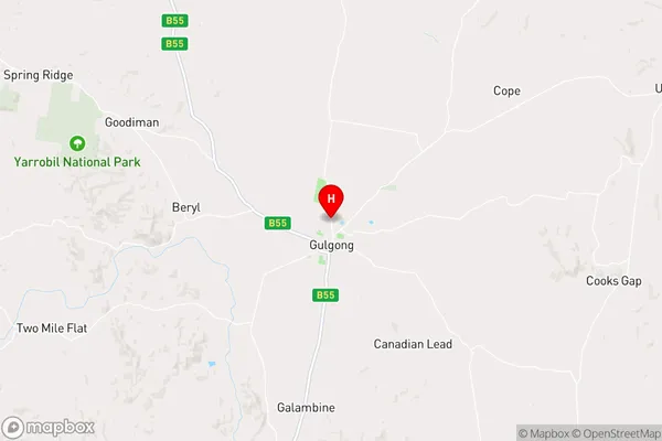 Gulgong,New South Wales Area Map