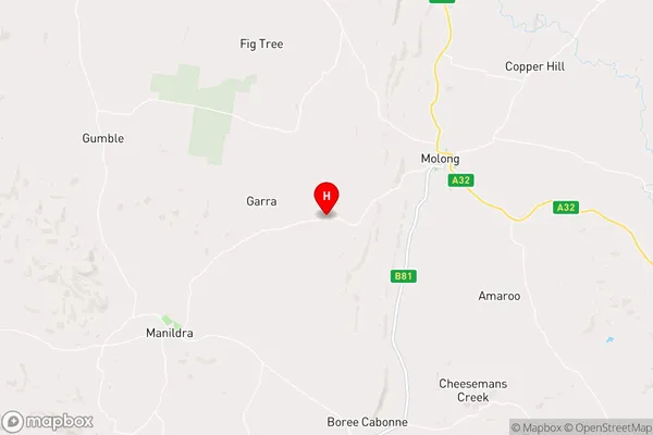 Garra,New South Wales Area Map