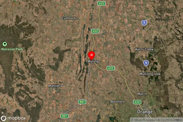 Molong,New South Wales Satellite Map