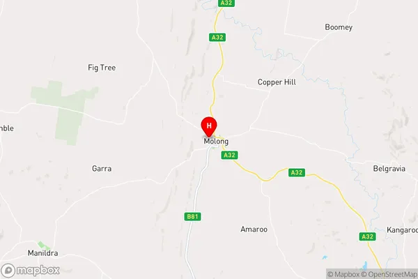 Molong,New South Wales Area Map