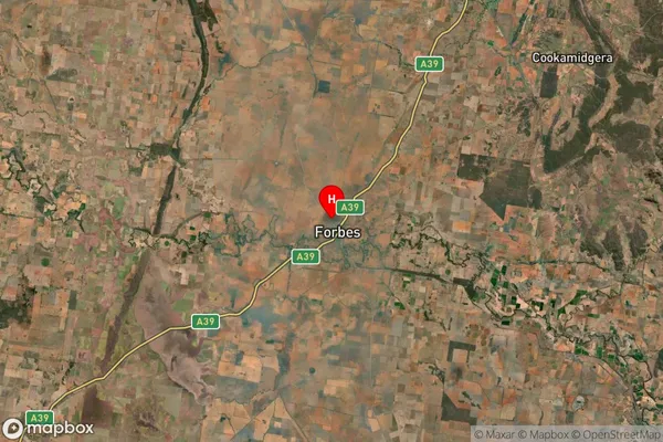 Weelong,New South Wales Satellite Map