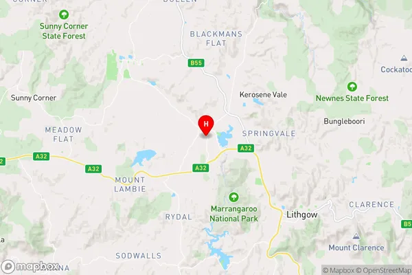 Wallerawang,New South Wales Area Map