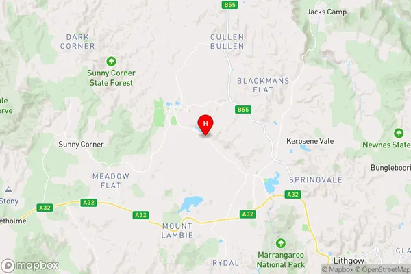 Pipers Flat,New South Wales Area Map