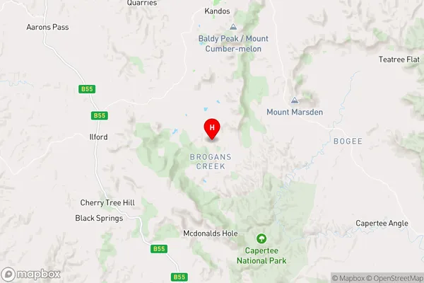 Brogans Creek,New South Wales Area Map