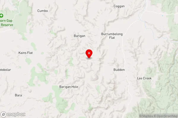 Barigan,New South Wales Area Map