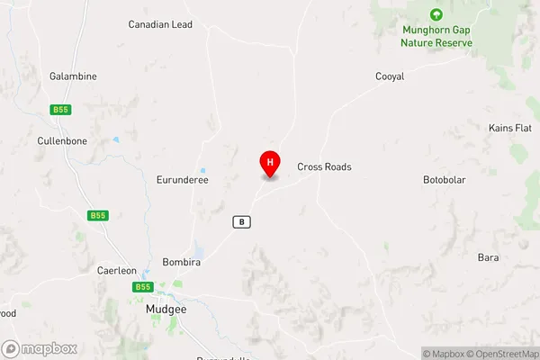 Budgee Budgee,New South Wales Area Map