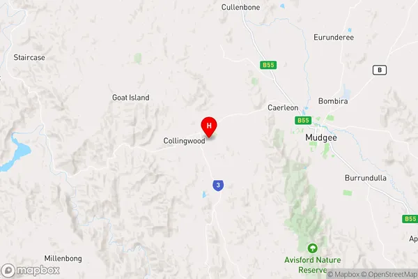 Collingwood,New South Wales Area Map