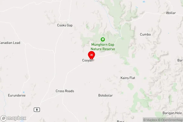 Cooyal,New South Wales Area Map