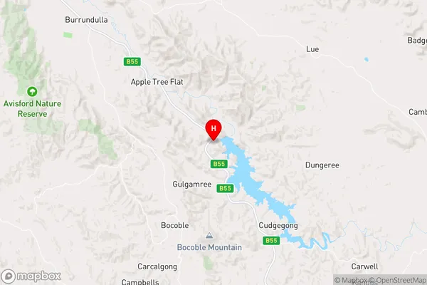 Cudgegong,New South Wales Area Map