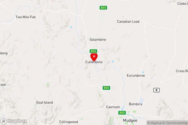 Cullenbone,New South Wales Area Map