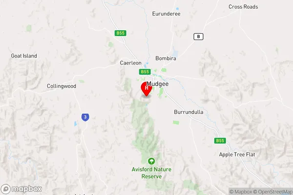 Mudgee,New South Wales Area Map