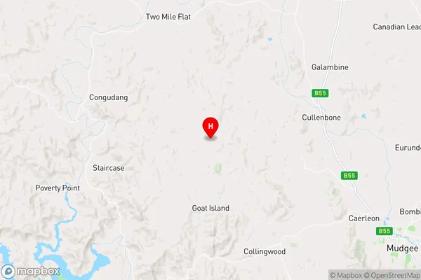 Piambong,New South Wales Area Map