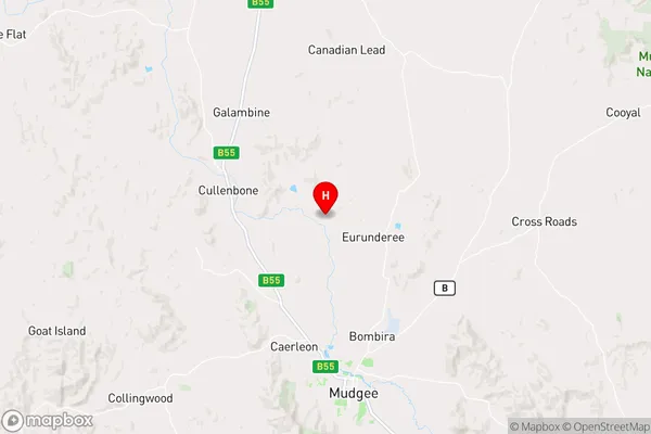 Wilbetree,New South Wales Area Map