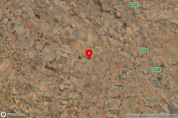 Merrigal,New South Wales Satellite Map