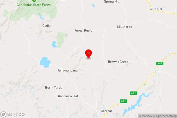 Beneree,New South Wales Area Map