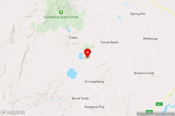 Flyers Creek,New South Wales Area Map