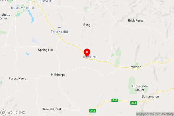 Guyong,New South Wales Area Map