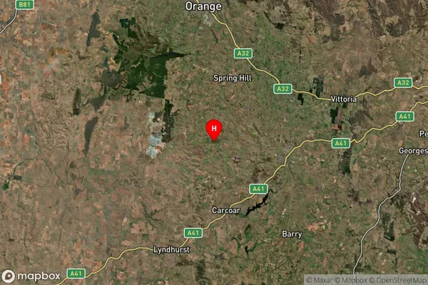 Tallwood,New South Wales Satellite Map