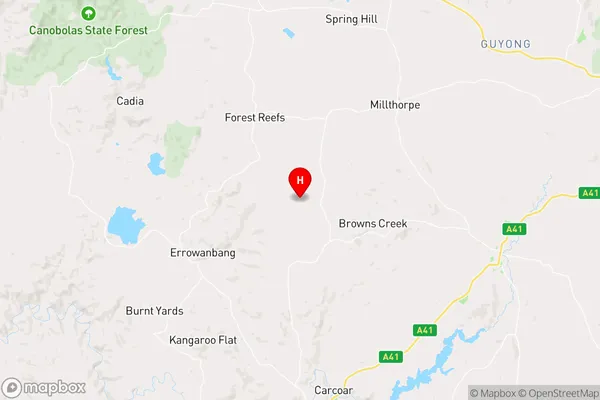 Tallwood,New South Wales Area Map