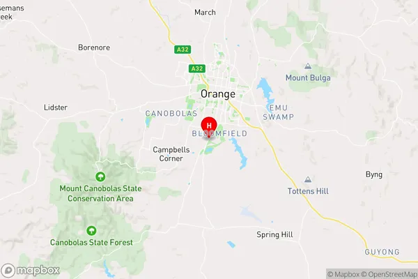 Bloomfield,New South Wales Area Map