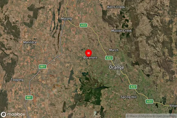 Borenore,New South Wales Satellite Map