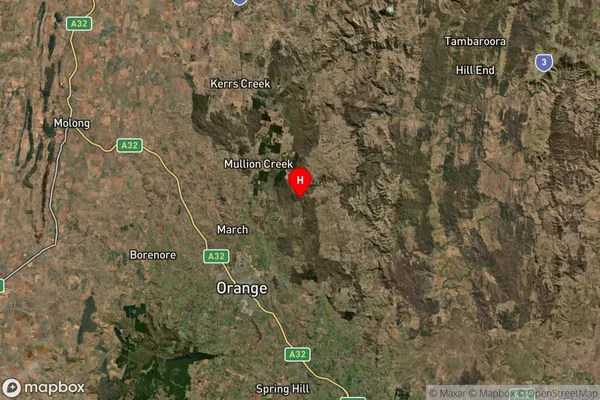 Ophir,New South Wales Satellite Map