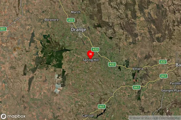 Spring Hill,New South Wales Satellite Map