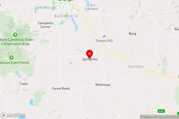 Spring Hill,New South Wales Area Map