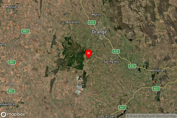 Springside,New South Wales Satellite Map