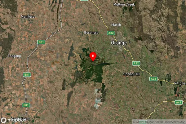 Towac,New South Wales Satellite Map