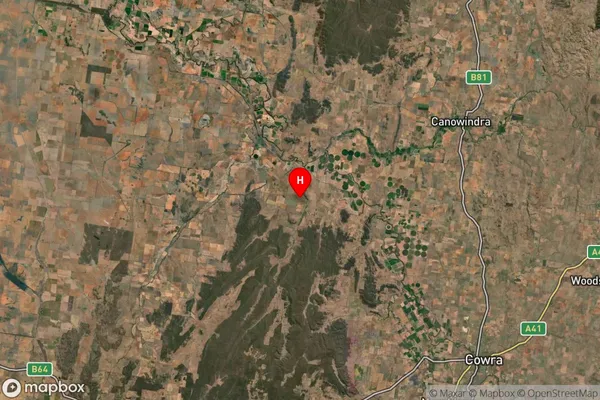 Gooloogong,New South Wales Satellite Map