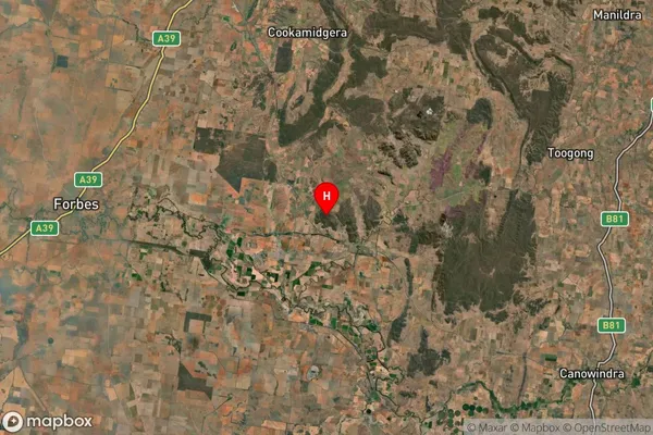 Eugowra,New South Wales Satellite Map