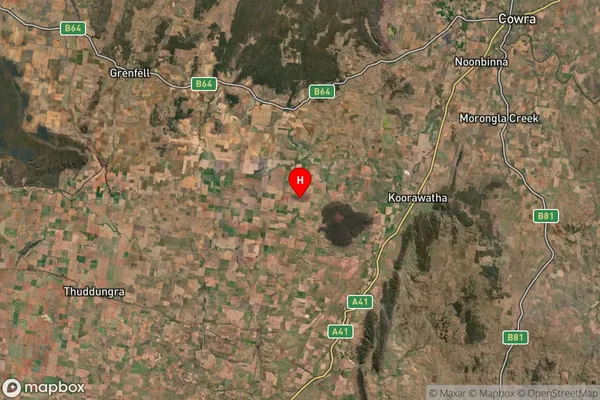 Greenethorpe,New South Wales Satellite Map