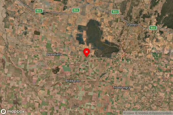 Bimbi,New South Wales Satellite Map