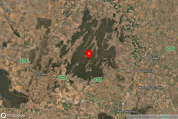 Bumbaldry,New South Wales Satellite Map