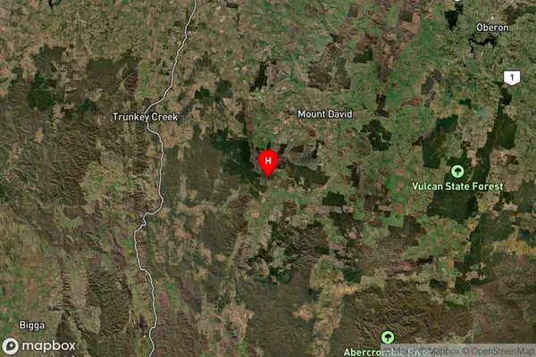 Burraga,New South Wales Satellite Map