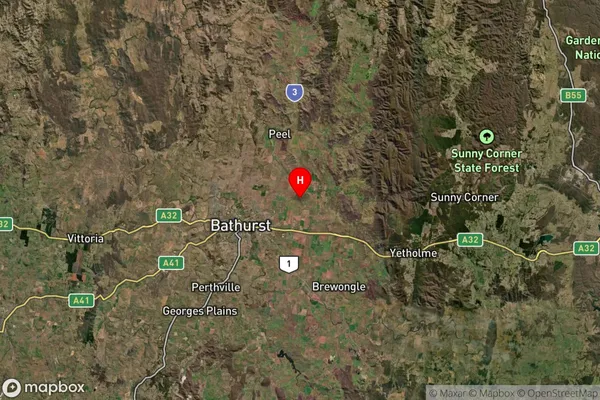 Forest Grove,New South Wales Satellite Map