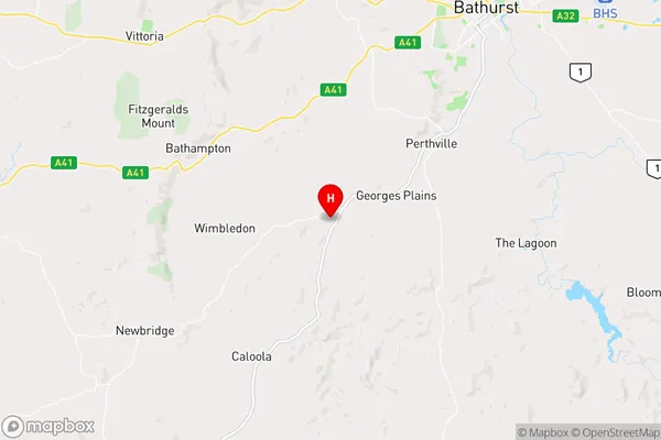 Georges Plains,New South Wales Area Map