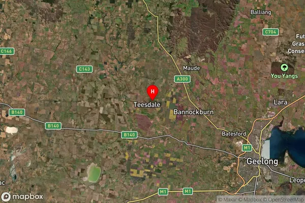 Teesdale,Victoria Satellite Map