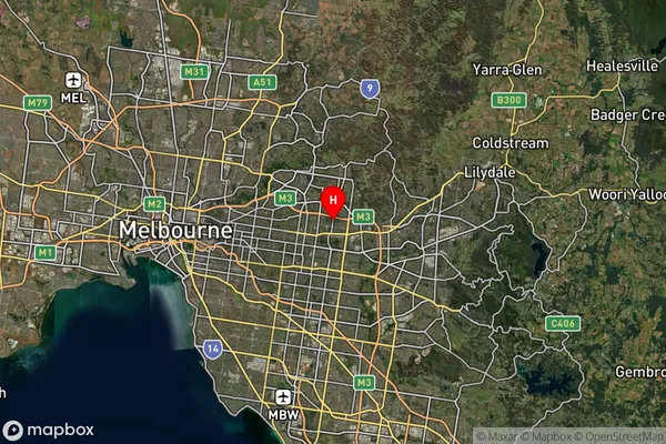 Blackburn North,Victoria Satellite Map