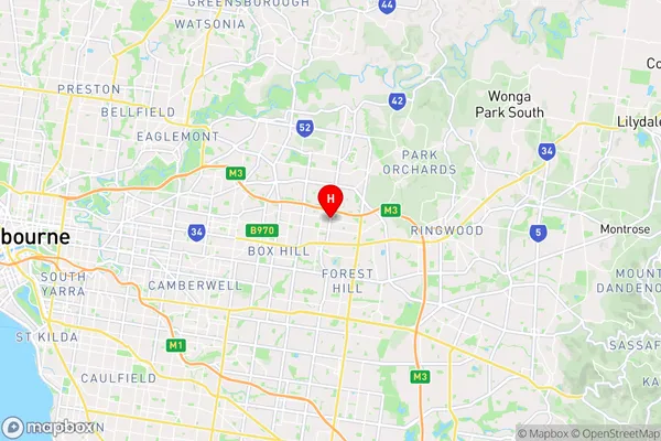 Blackburn North,Victoria Area Map