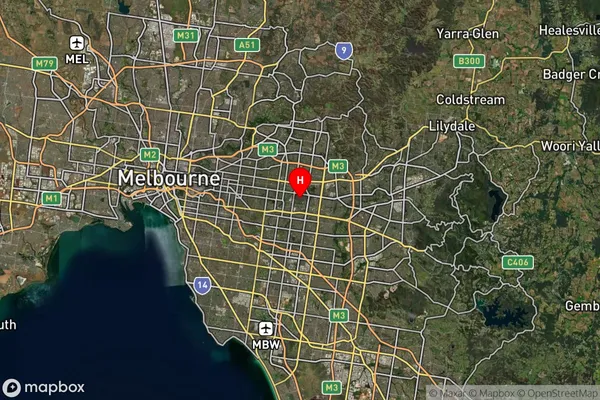 Blackburn South,Victoria Satellite Map