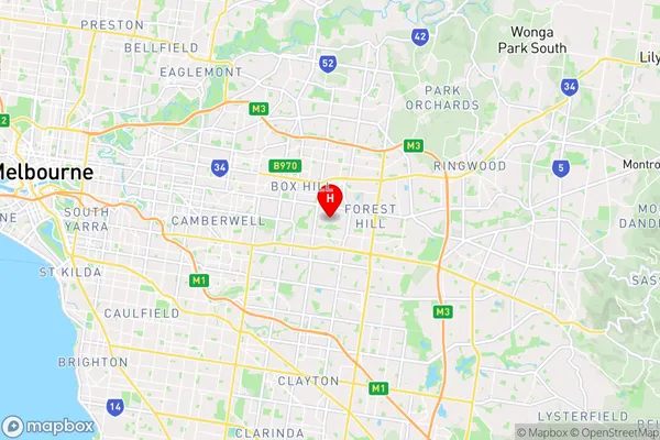 Blackburn South,Victoria Area Map