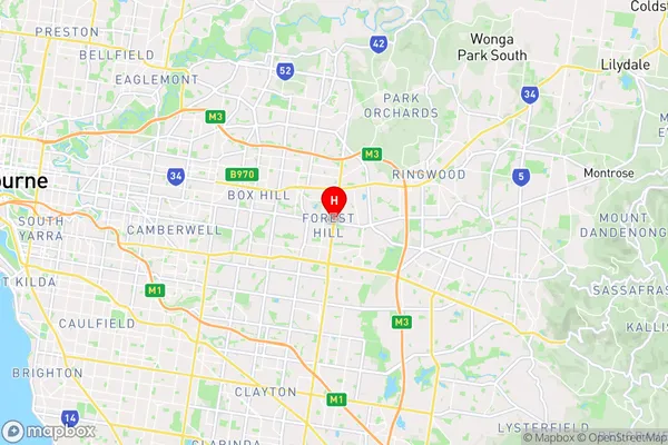 Forest Hill,Victoria Area Map