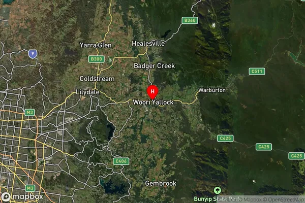 Woori Yallock,Victoria Satellite Map